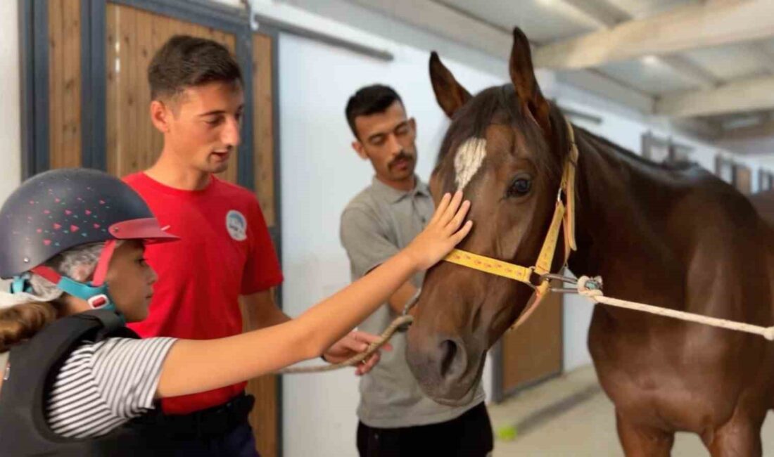 KAYSERİ BÜYÜKŞEHİR BELEDİYESİ TARAFINDAN,