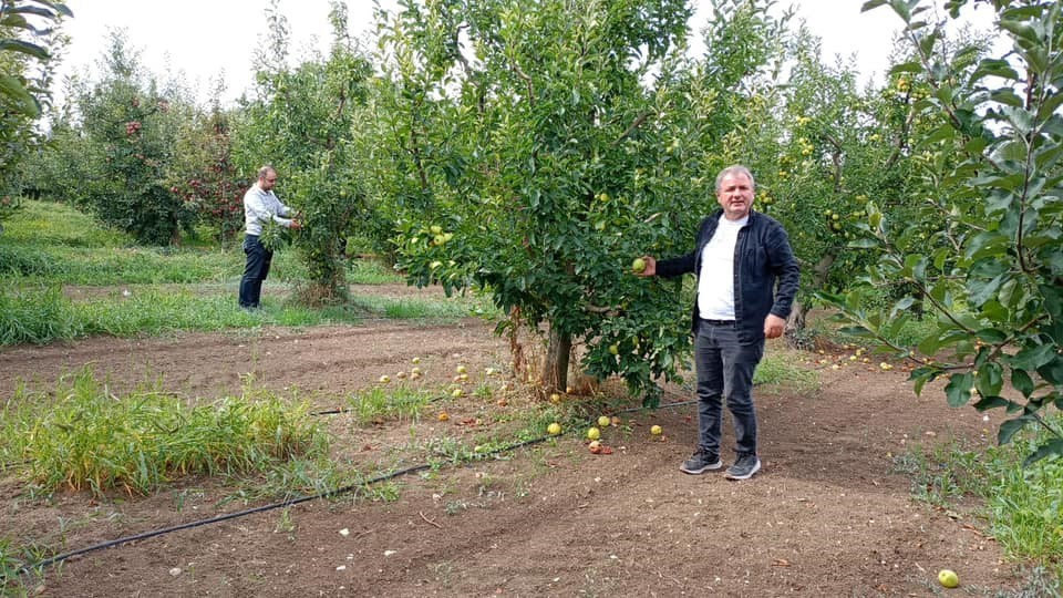 KONYA’NIN ELMA ÜRETİM MERKEZİ