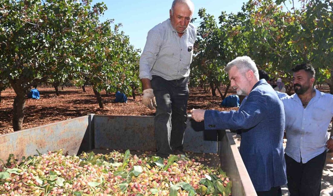 KAHRAMANMARAŞ BÜYÜKŞEHİR BELEDİYE BAŞKANI