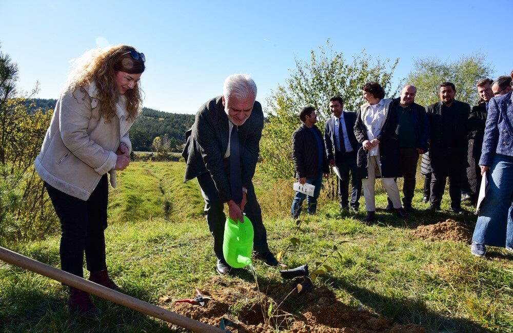 MİLLİ AĞAÇLANDIRMA GÜNÜ ETKİNLİKLERİ