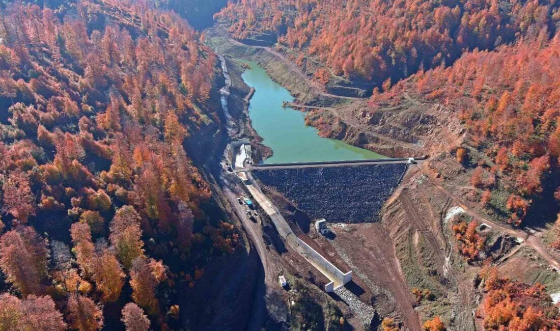 ORDU BÜYÜKŞEHİR BELEDİYESİ, KUMRU’DA